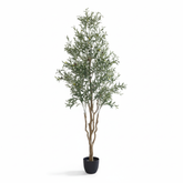 Artificial Verdant Olive Tree Decor - 240cm (8ft)